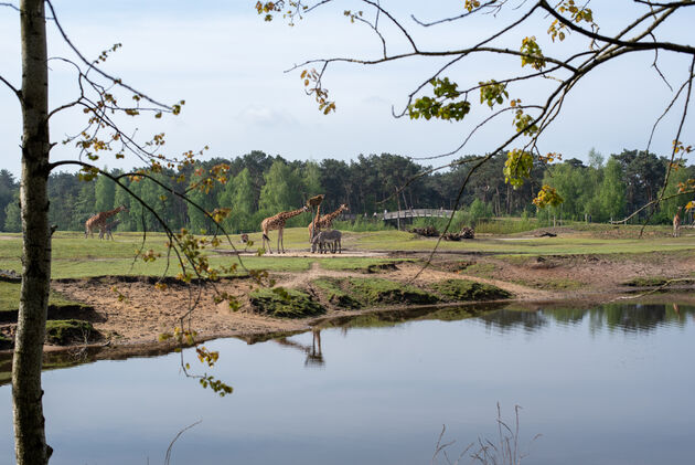 Niet zomaar een dierentuin, maar een prachtig natuurpark