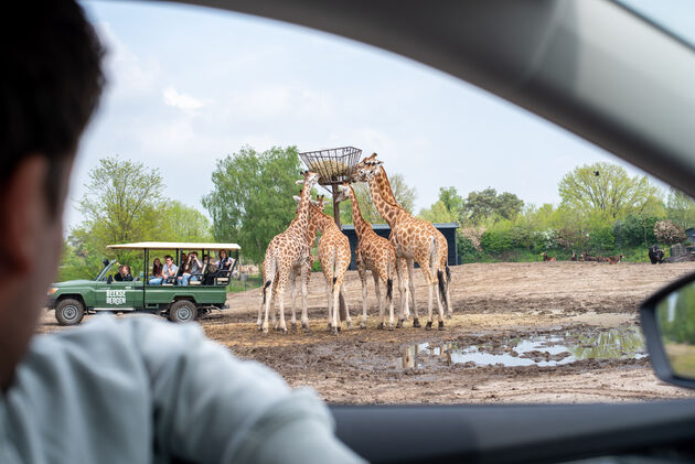 Op safari met je eigen auto, net zoals in Afrika