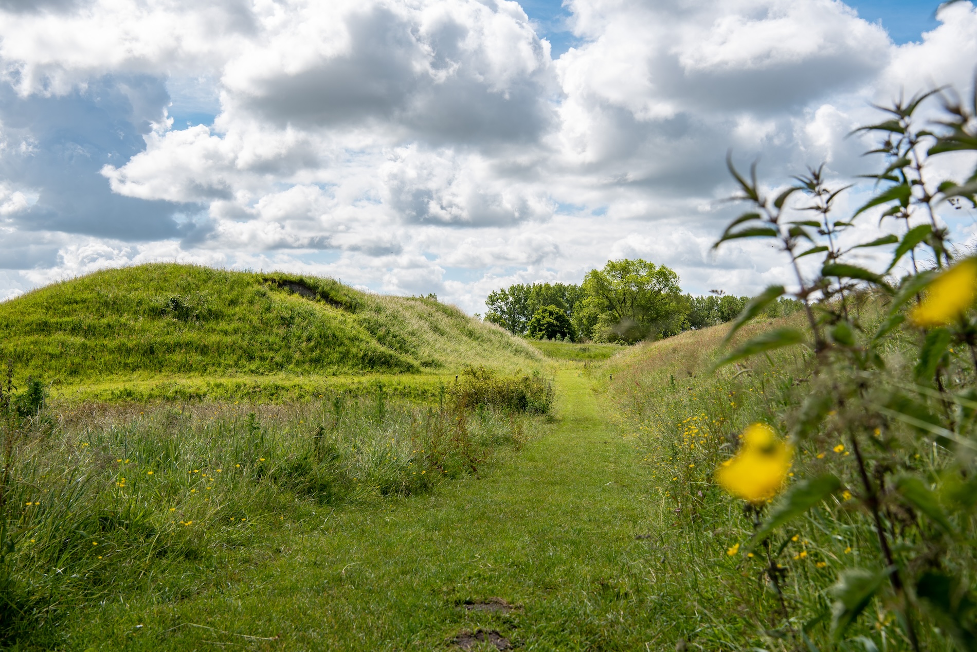 Benen strekken in Retranchement: doe een mooie wandeling door de polder