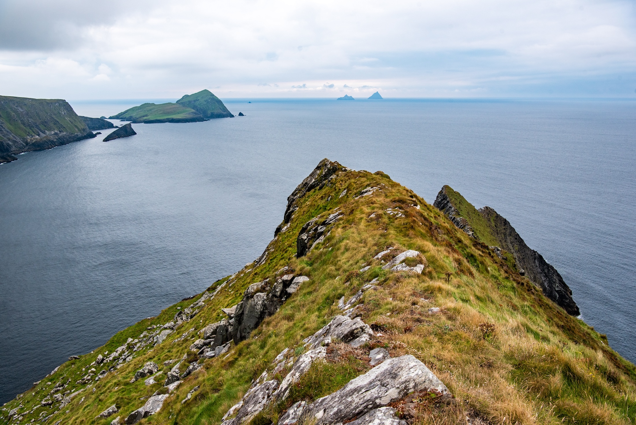 Ruige natuur op de Skellig Islands