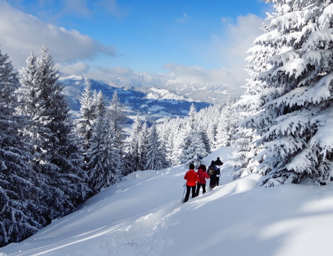 De Kitzbüheler Alpen zijn prachtig om te zien