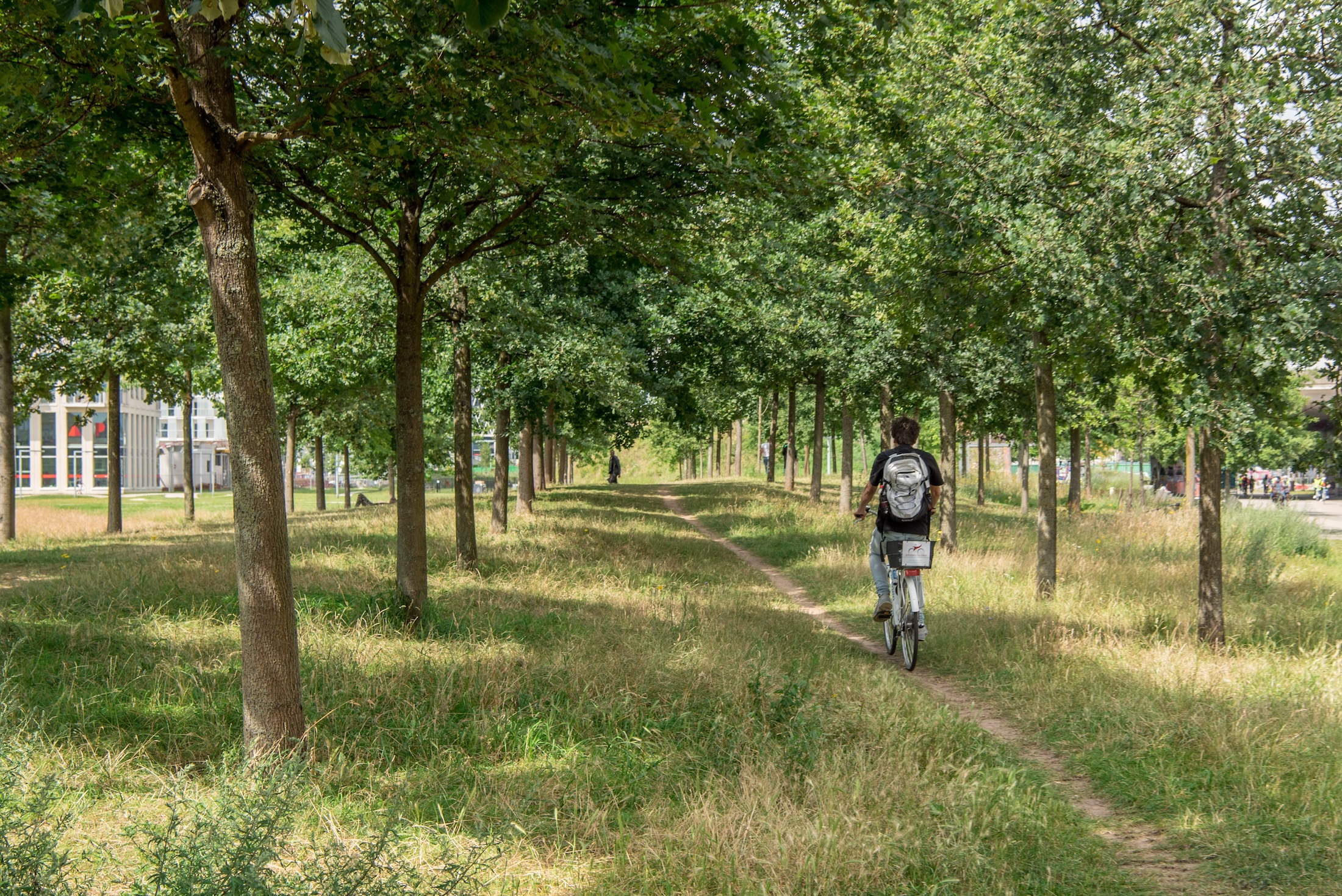 Op de fiets door Park Spoor Noord