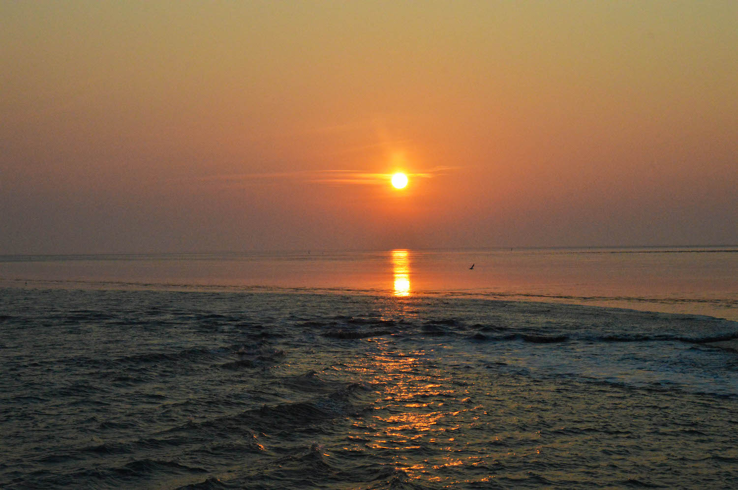 Sterren kijken terschelling