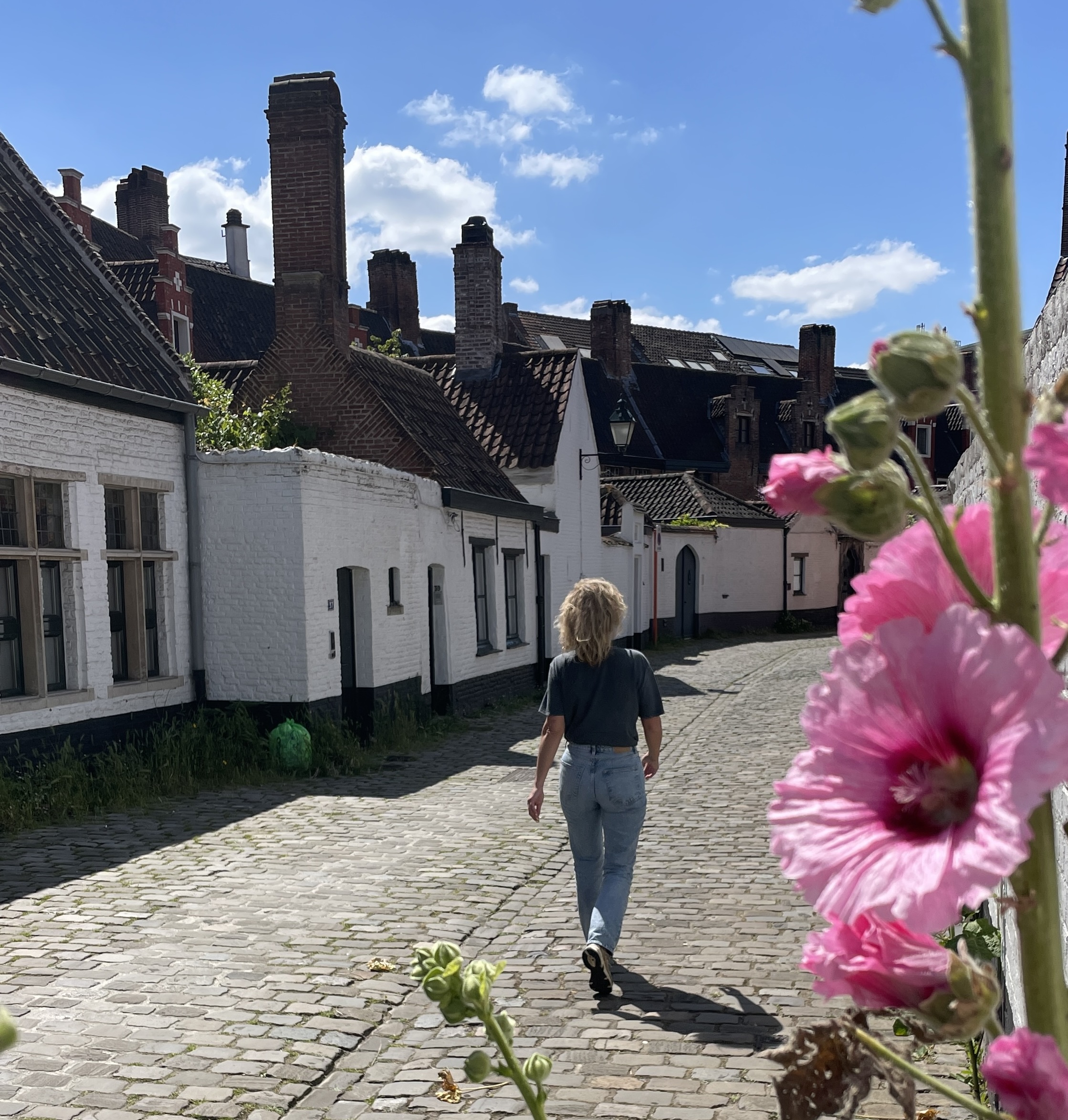 De voormalig huizen van de Begijntjes van St.-Elisabeth zijn inmiddels bewoond door gezinnen.