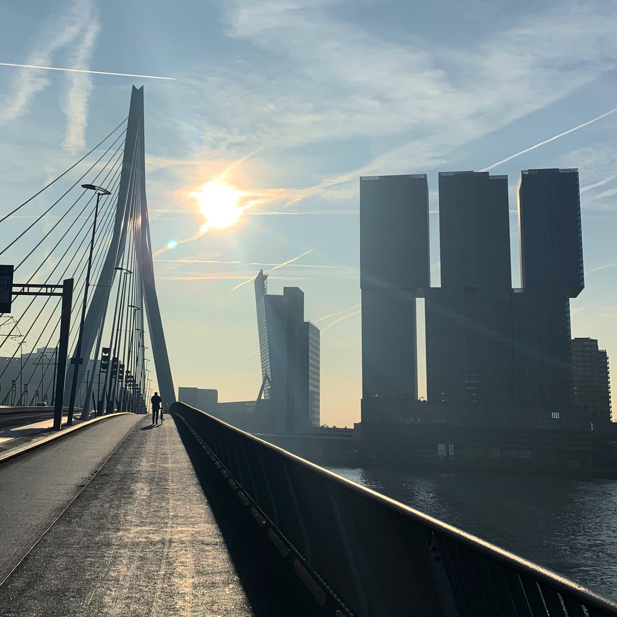 Rotterdam beste plekken lunch