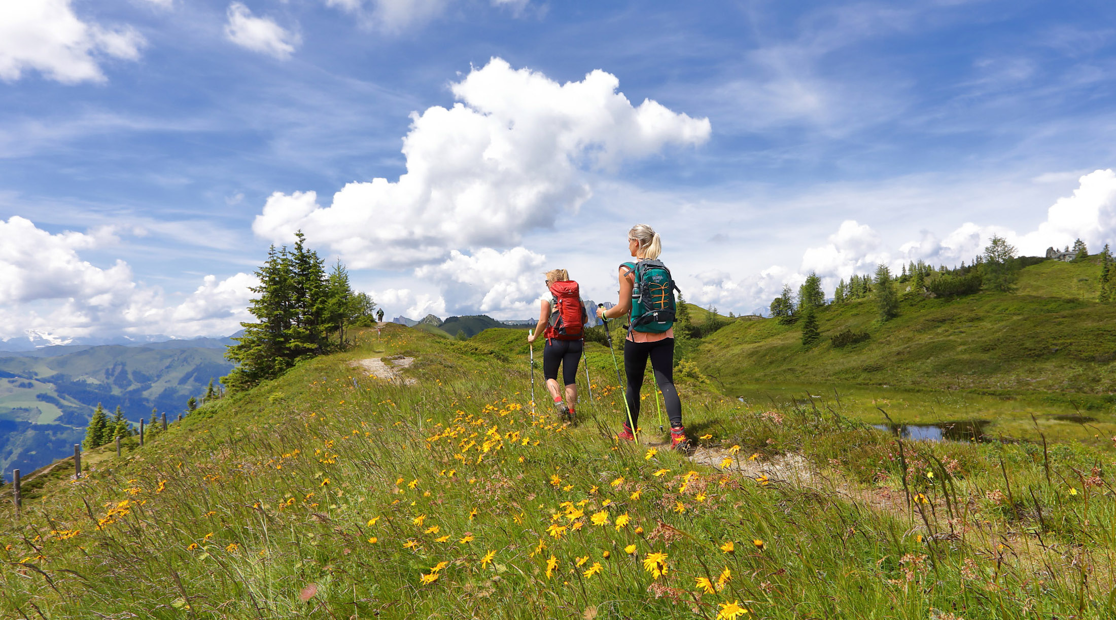 Maak mooie wandelingen, misschien wel (een deel van) de Salzburger Almenweg