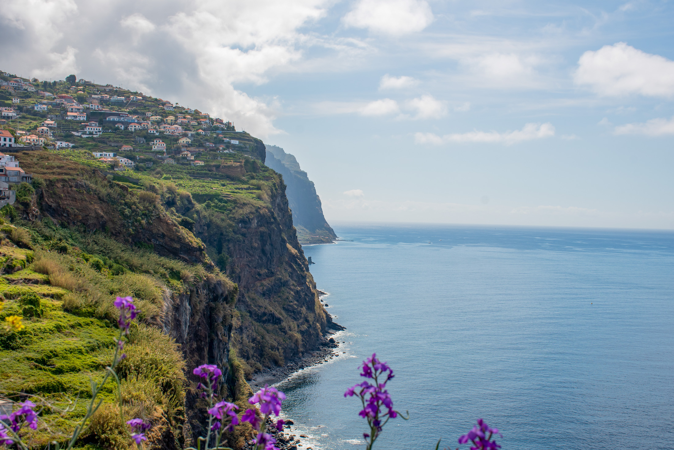 madeira-lente-tips-bloemeneiland