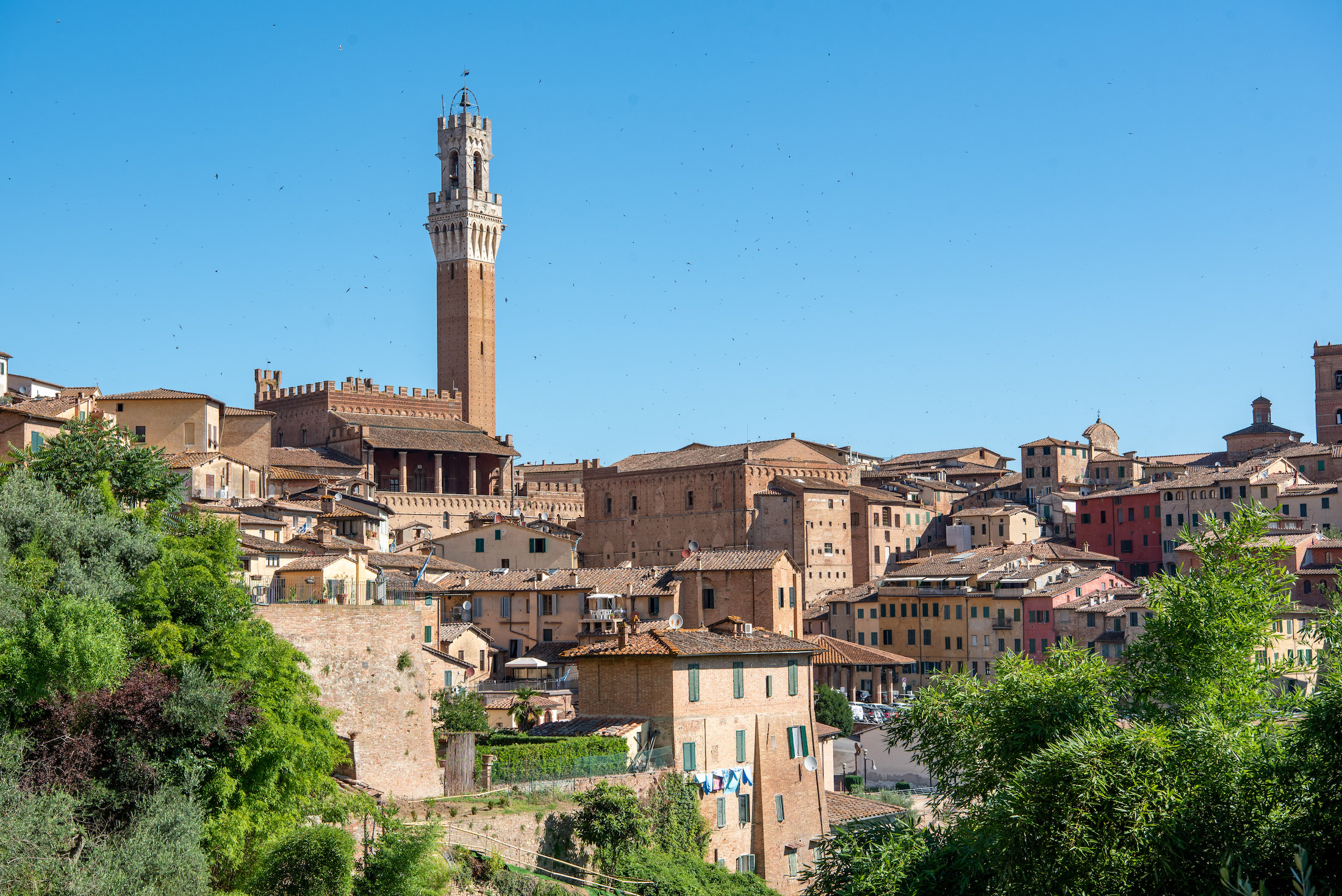 Torre del Mangia steekt overal bovenuit