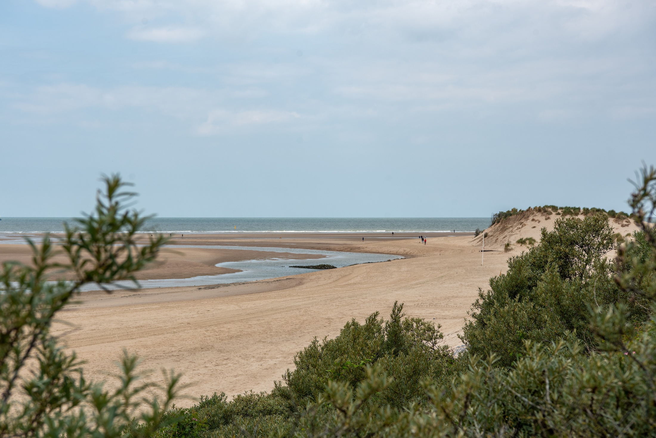 Wandel door natuurgebied het Zwin