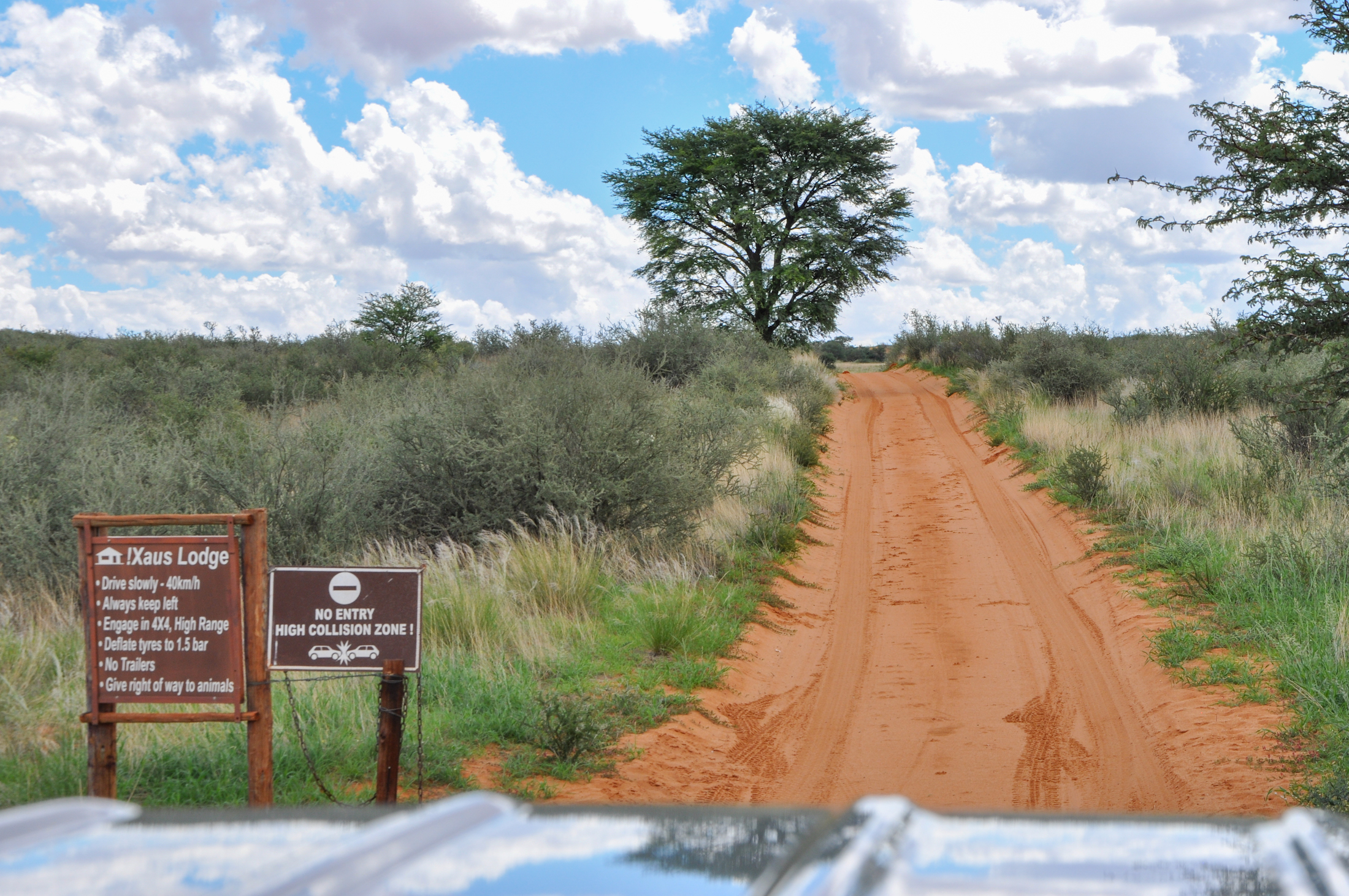 Crossen over rode zandduinen door Kgalagadi