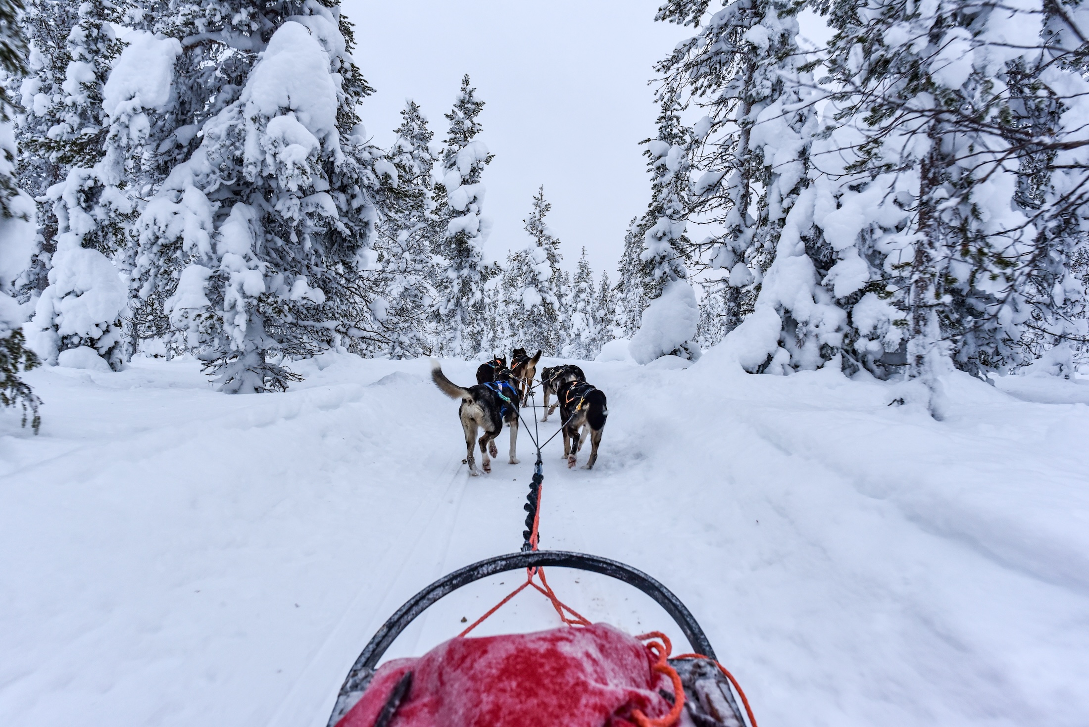 lapland-vakanties