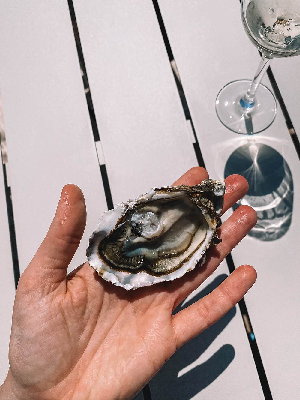 In de hele regio kom je de lekkerste visgerechten en kraakverse schaal- en schelpdieren tegen.