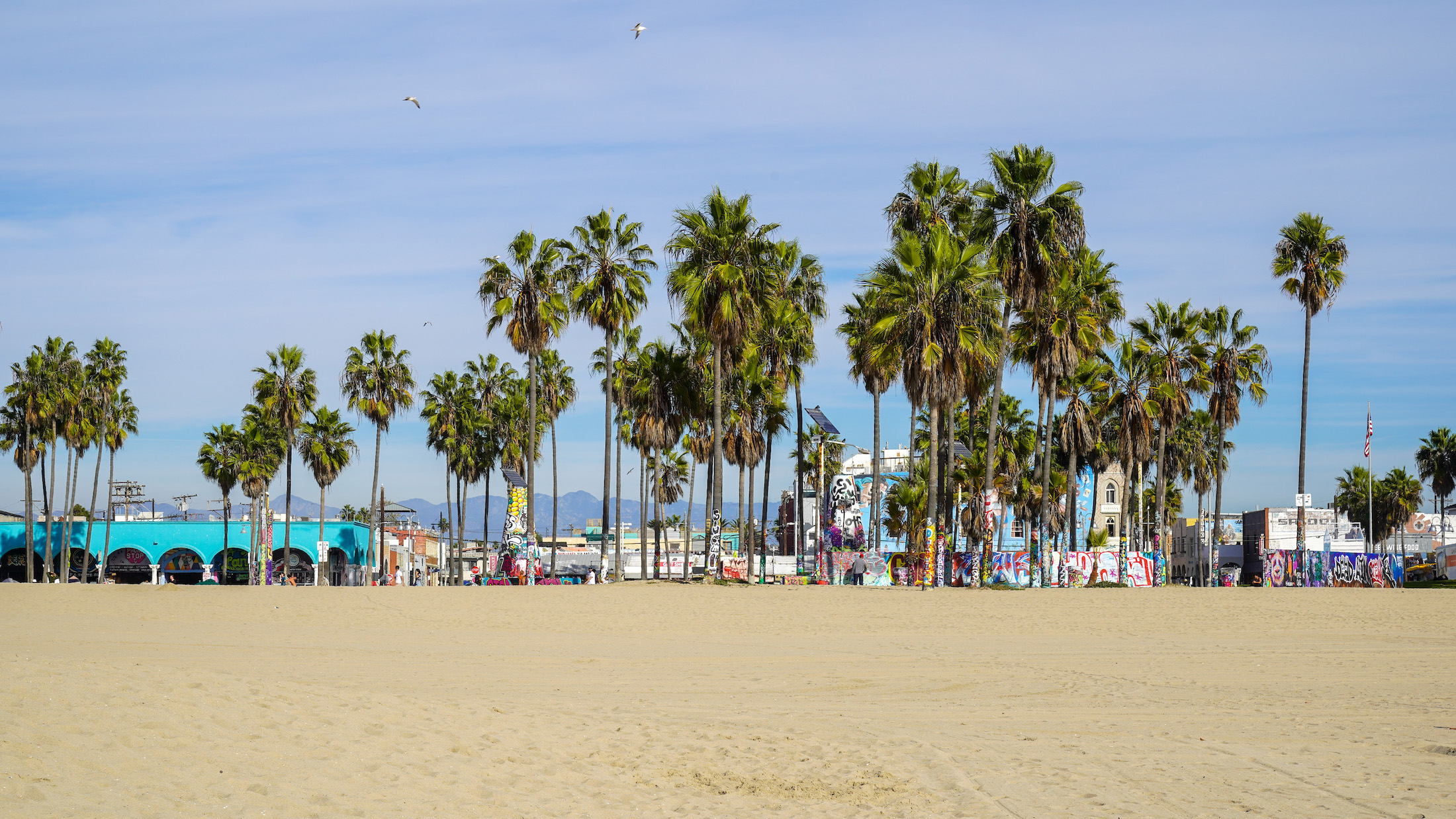 Laid back Venice Beach