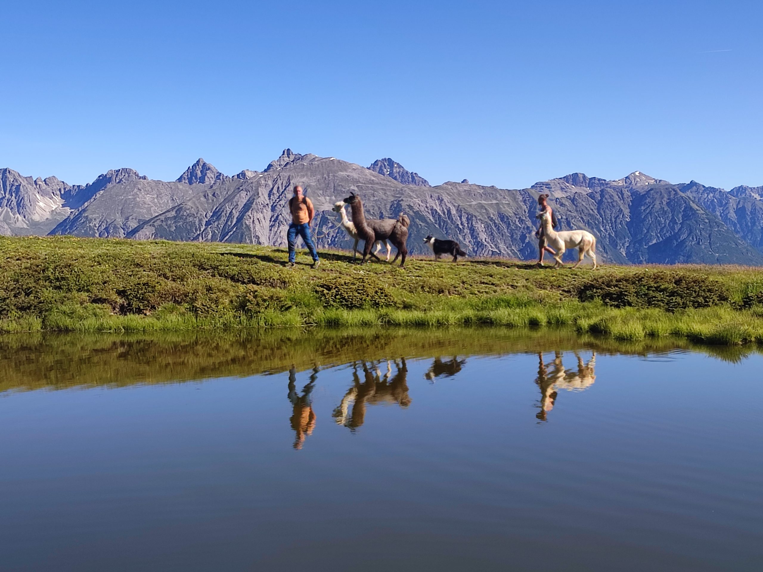 Tal van activiteiten tijdens de Golden Summits!