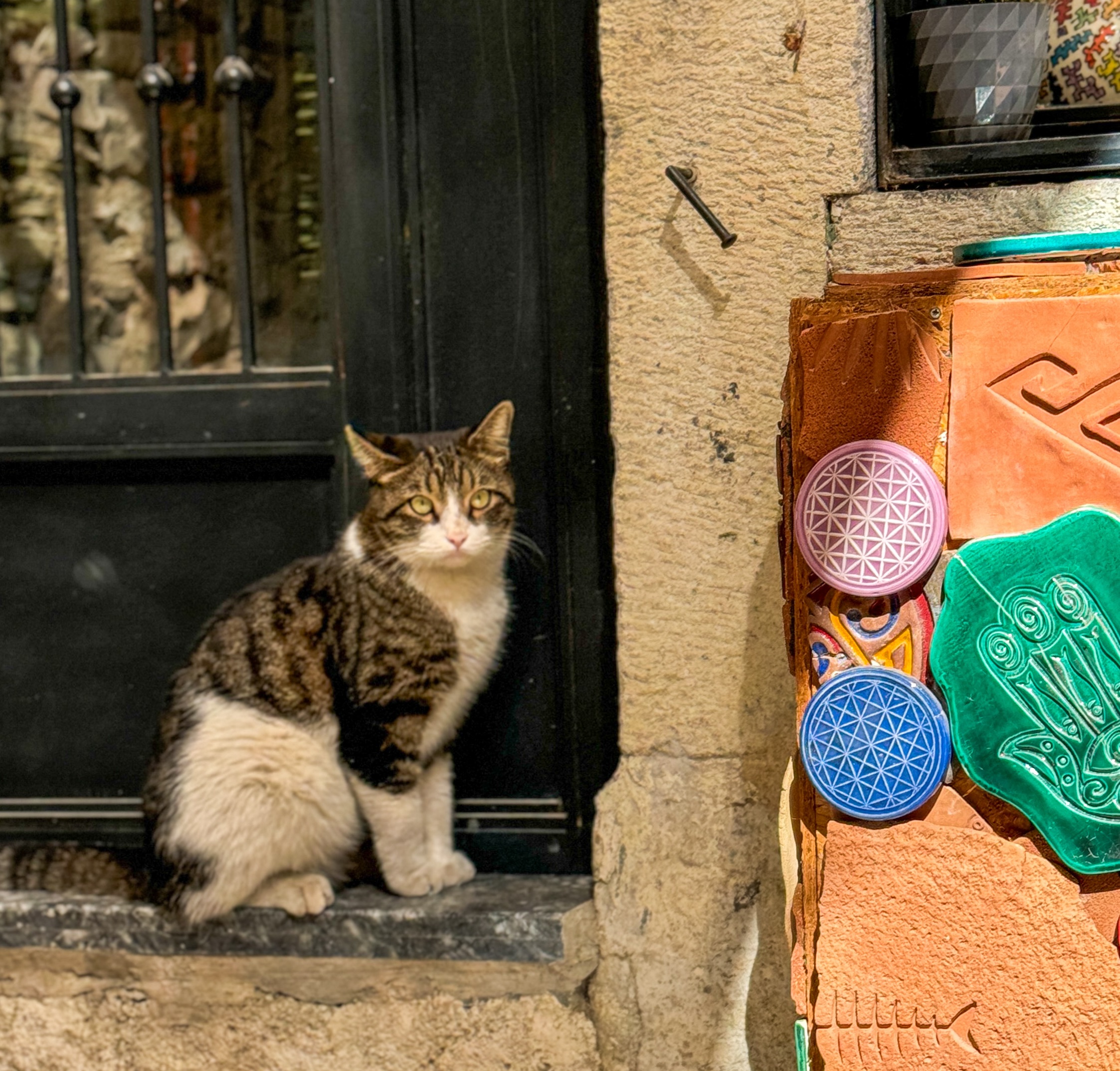 In de straten van Urla struikel je bijna over de lieve (zwerf)katten.