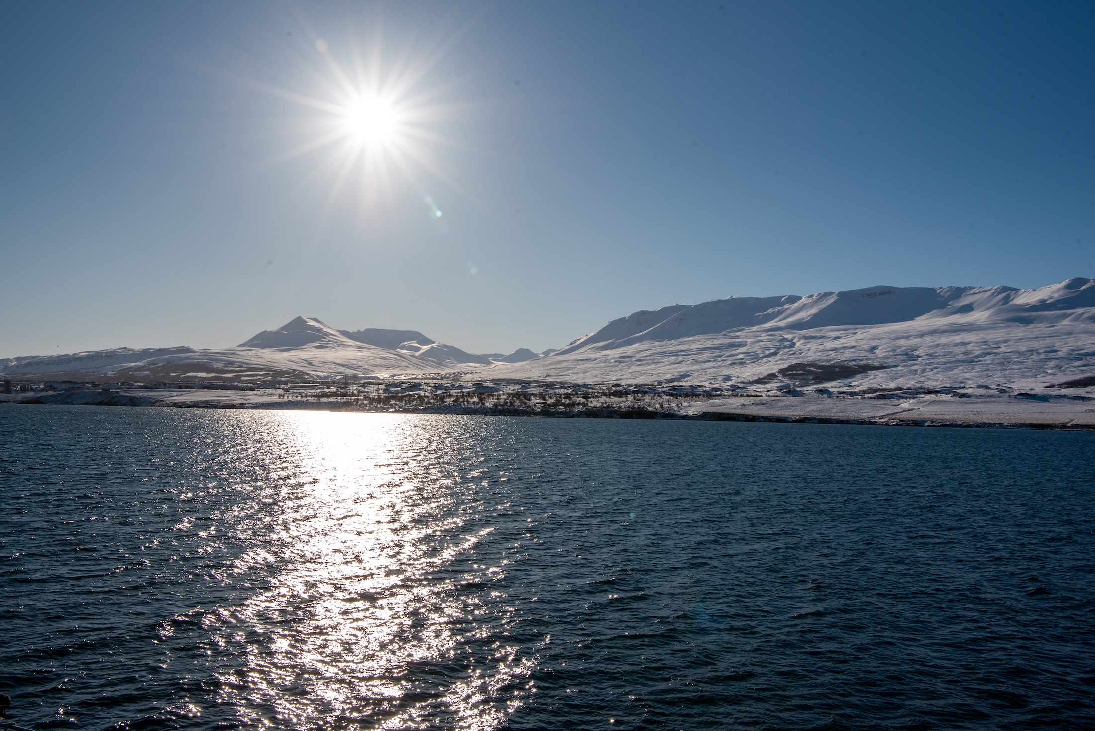 Walvissen laten zich niet goed zien dus het is vooral genieten van het mooie zicht op de fjord