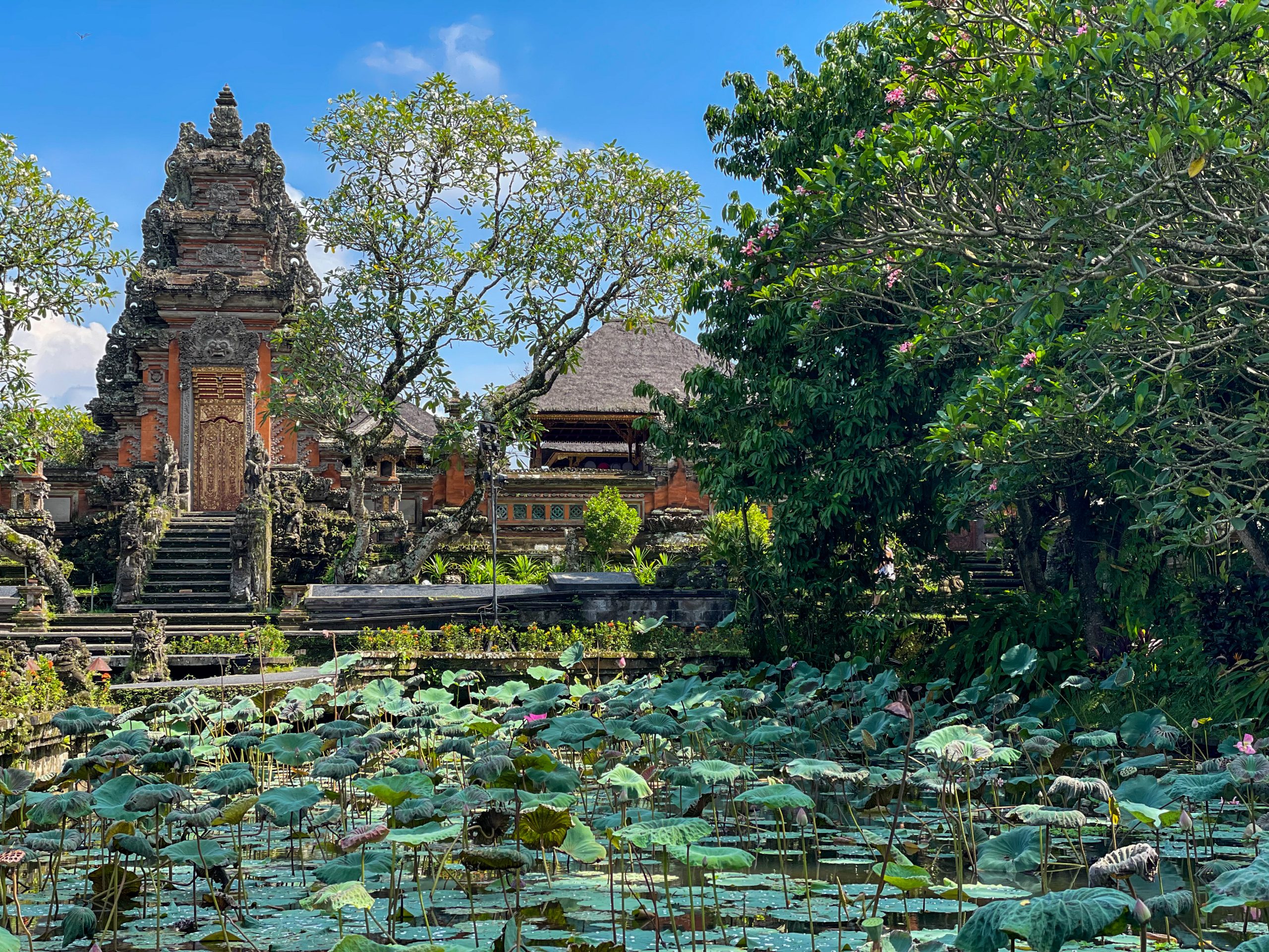 De Pura Taman Saraswati tempel ligt in Ubud zelf en wordt omringd door een vijver vol lelies.