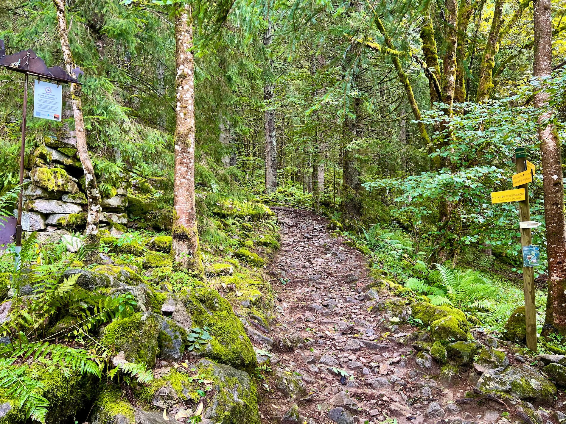 De wandelroutes worden goed aangegeven, inclusief leuke weetjes over de natuur (links)