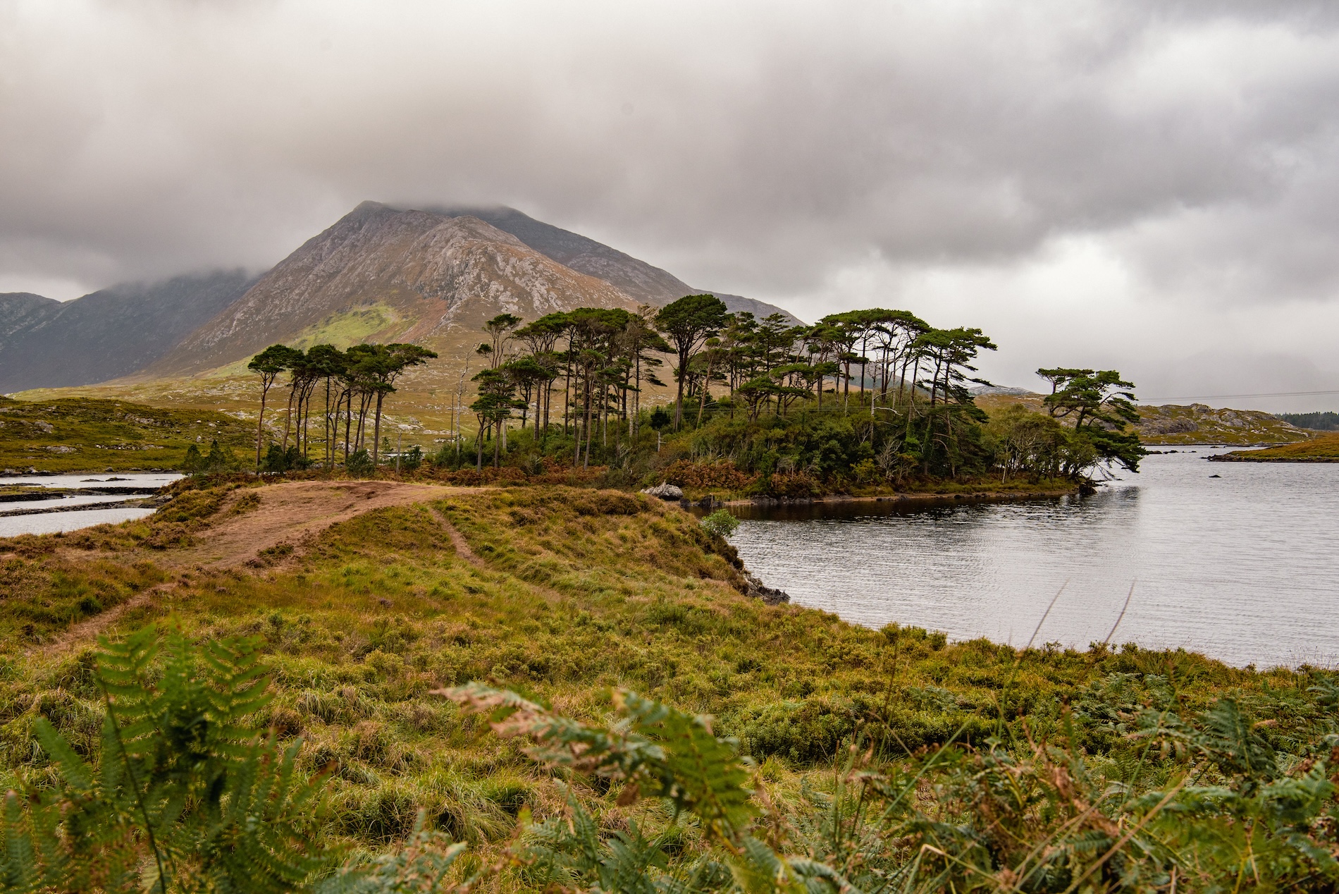 Pine Island is een van de mooiste plekken in de Connemara