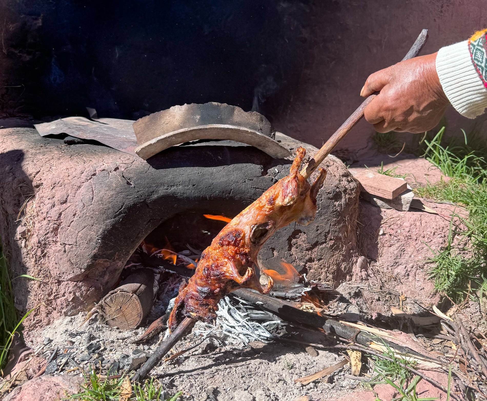 Cavia móét je proeven in Peru - al is het maar een klein stukje