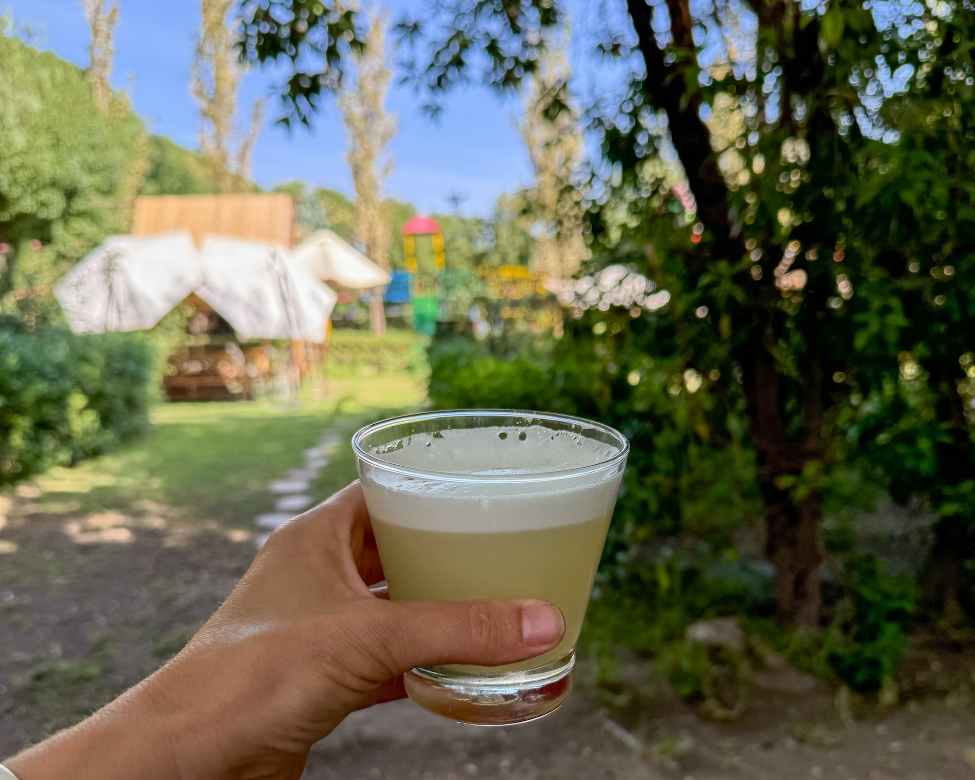 De nationale cocktail van Peru: Pisco Sour