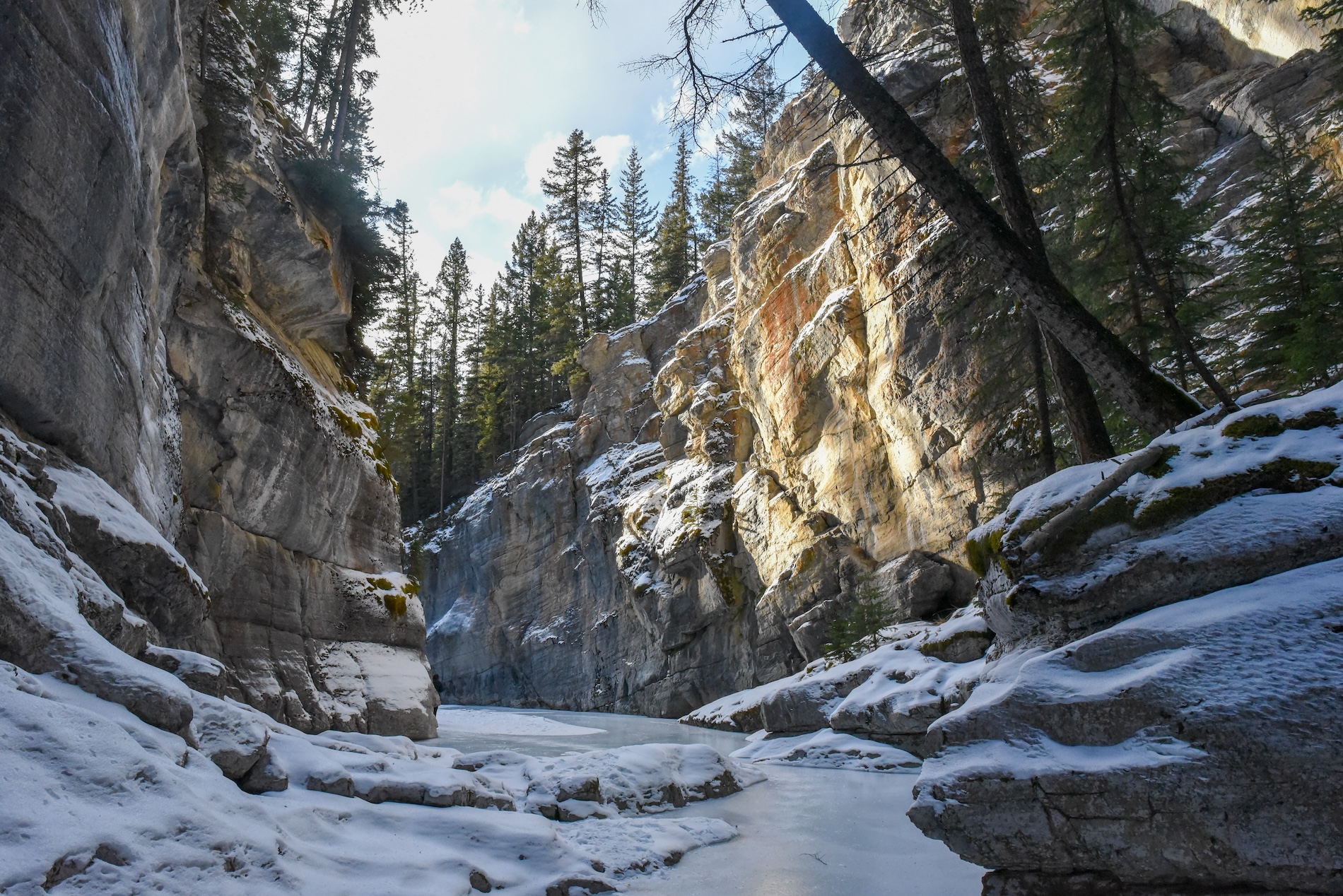 En wandel door de indrukwekkende Maligne Canyon