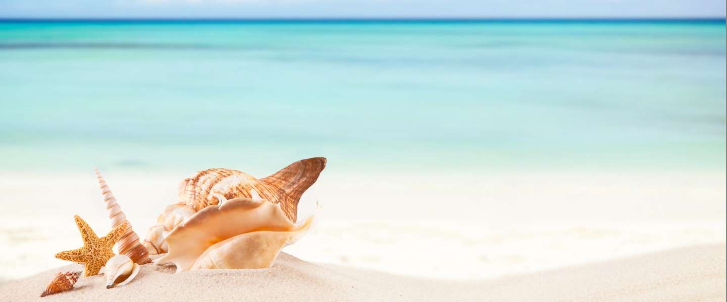 3-gezonde-vakantietrends.jpg