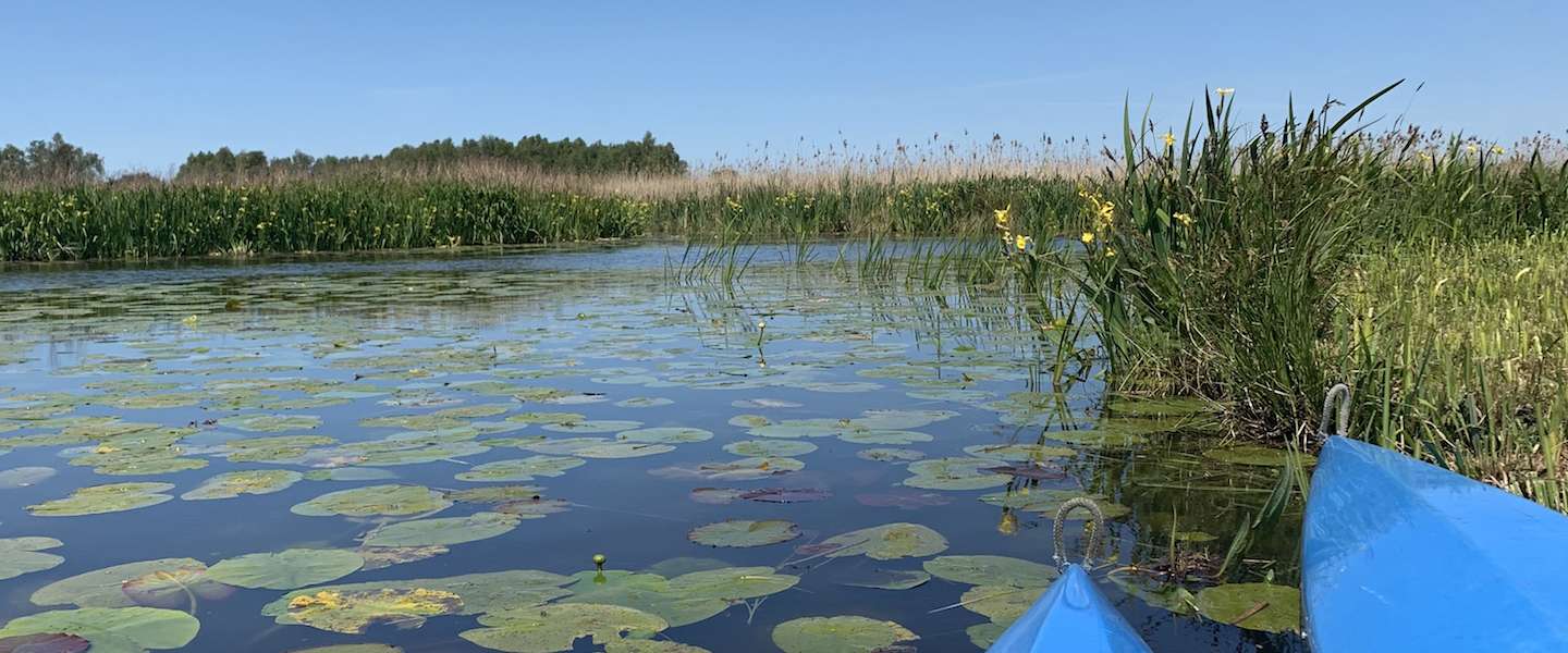 actief-dagje-weg-nederland.jpg