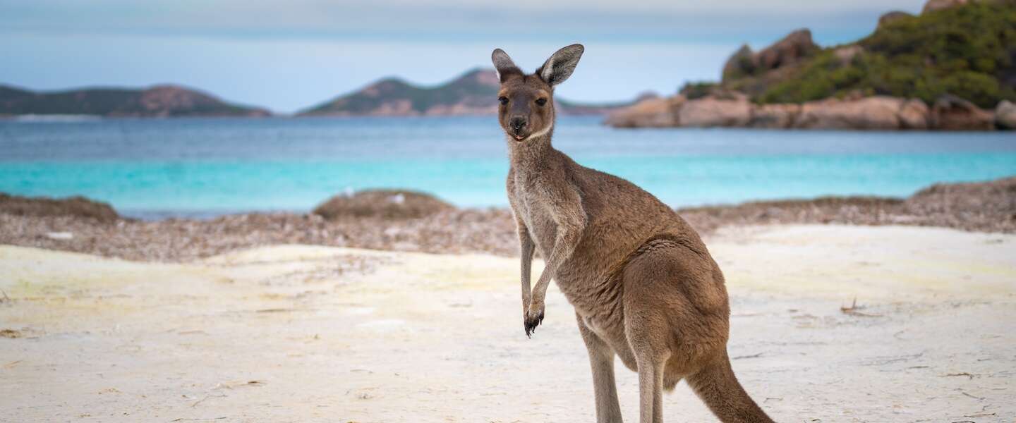 australie-reizen.jpg