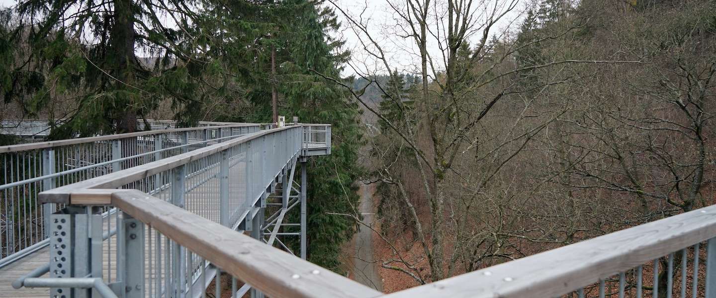 baumwipfelpfad-bad-harzburg.jpg