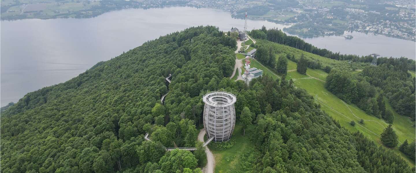 baumwipfelpfad-salzkammergut.jpg