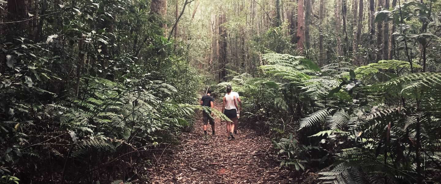 bellingen-crystal-falls-australie.jpg