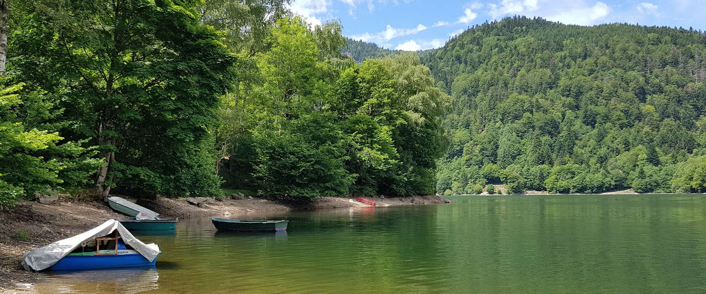 bergmeer-vogezen.jpg