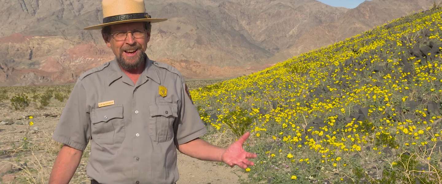 bloemen-death-valley.jpg