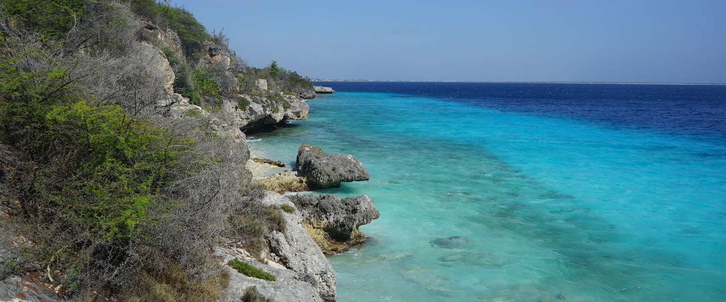 bonaire-in-40-fotos.jpg