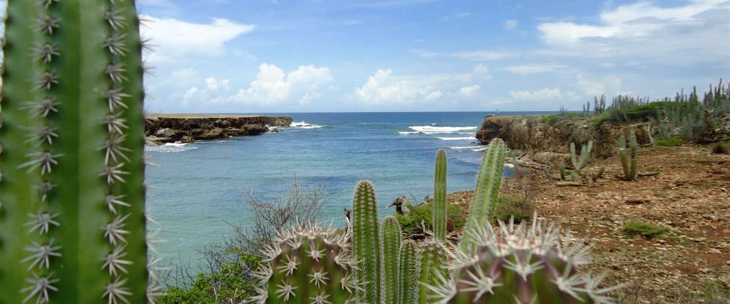 curacao-jeeptour.jpg