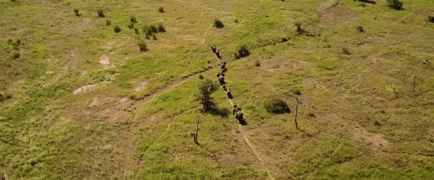 droombeelden-safari-zuid-afrika.jpg
