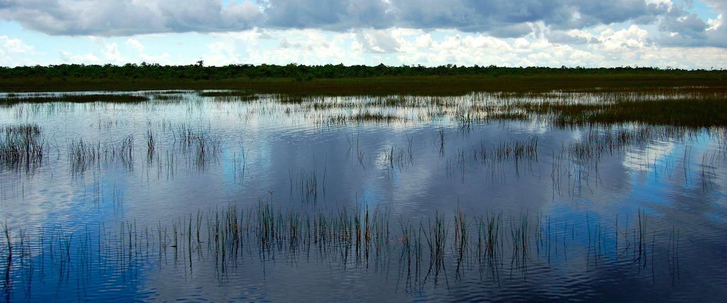 everglades-florida-krokodillen.jpg