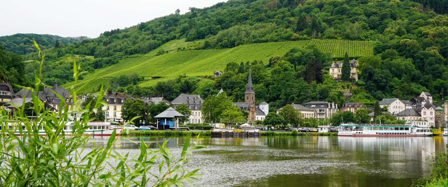 fietsen-mosel-radweg.jpg