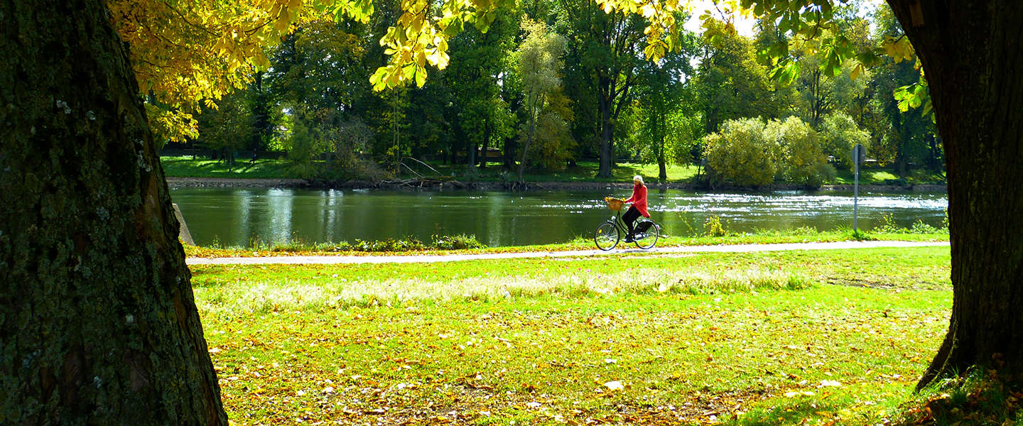 fietsen-nederland-park.jpg