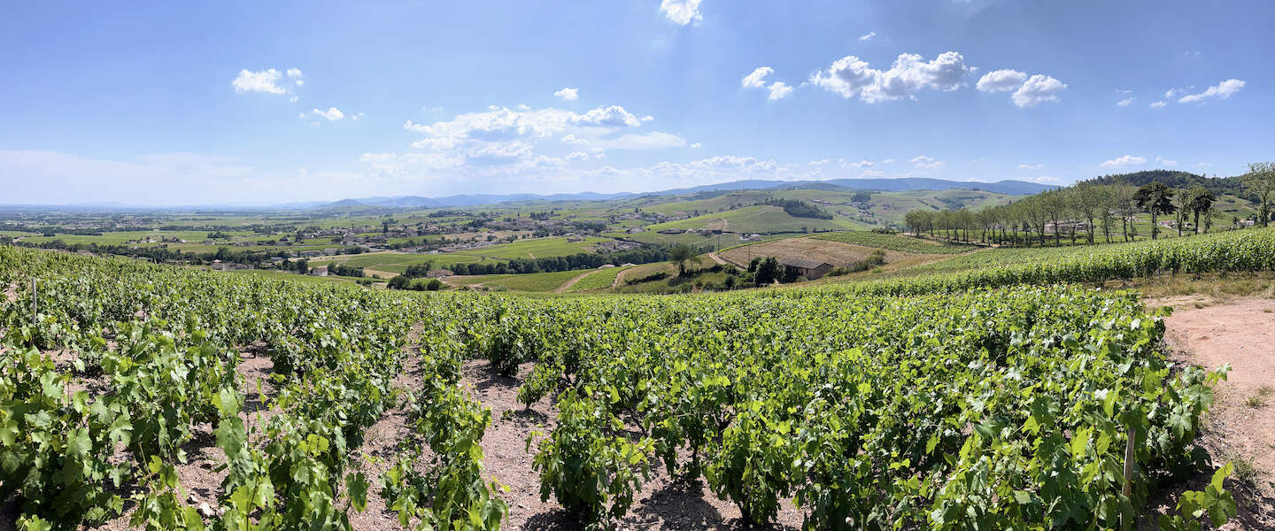 fleurie-frankrijk-1.jpg