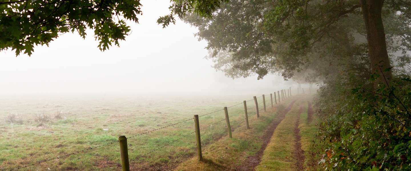 fotograferen-magisch-uurtje-gouden-uur.jpg