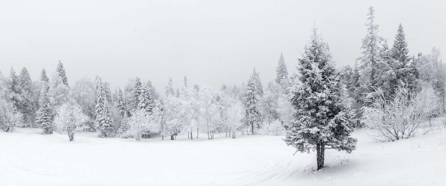 fotografie-tips-sneeuw-2.jpg