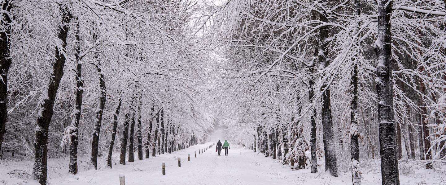 fotos-sneeuw-nederland-1.jpg