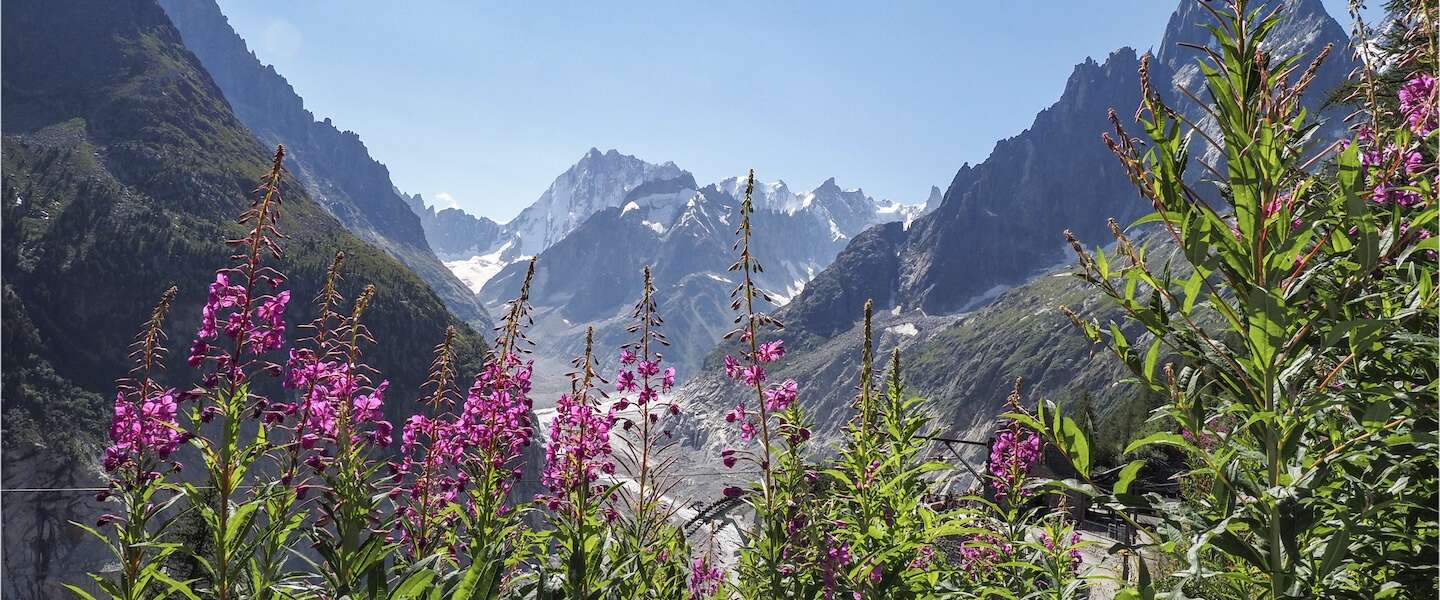 franse-alpen-zomer-1.jpg