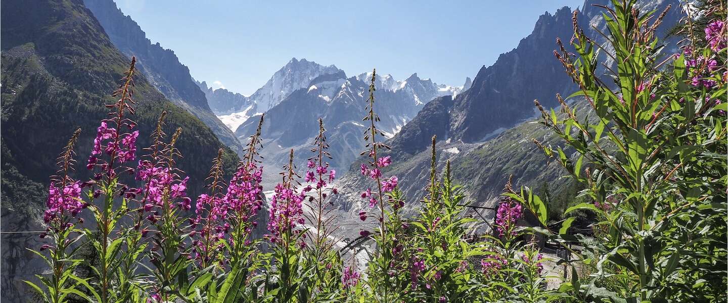 franse-natuur.jpg