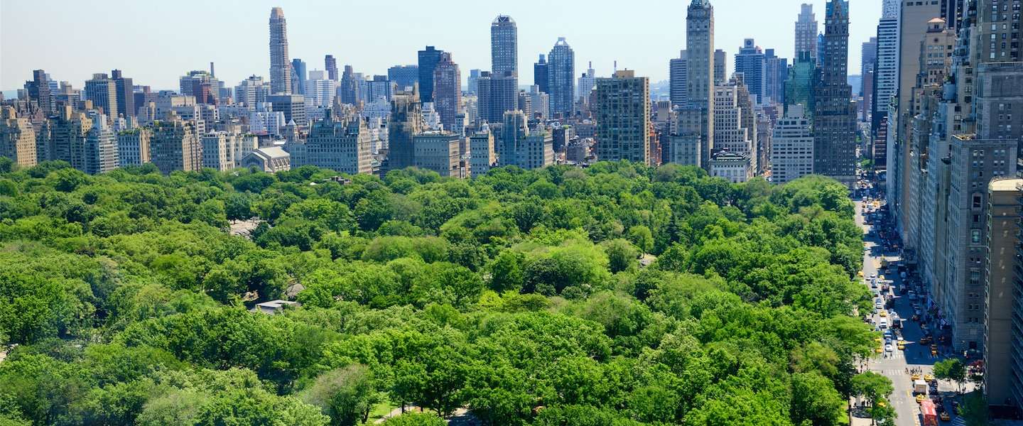 geheim-central-park.jpg