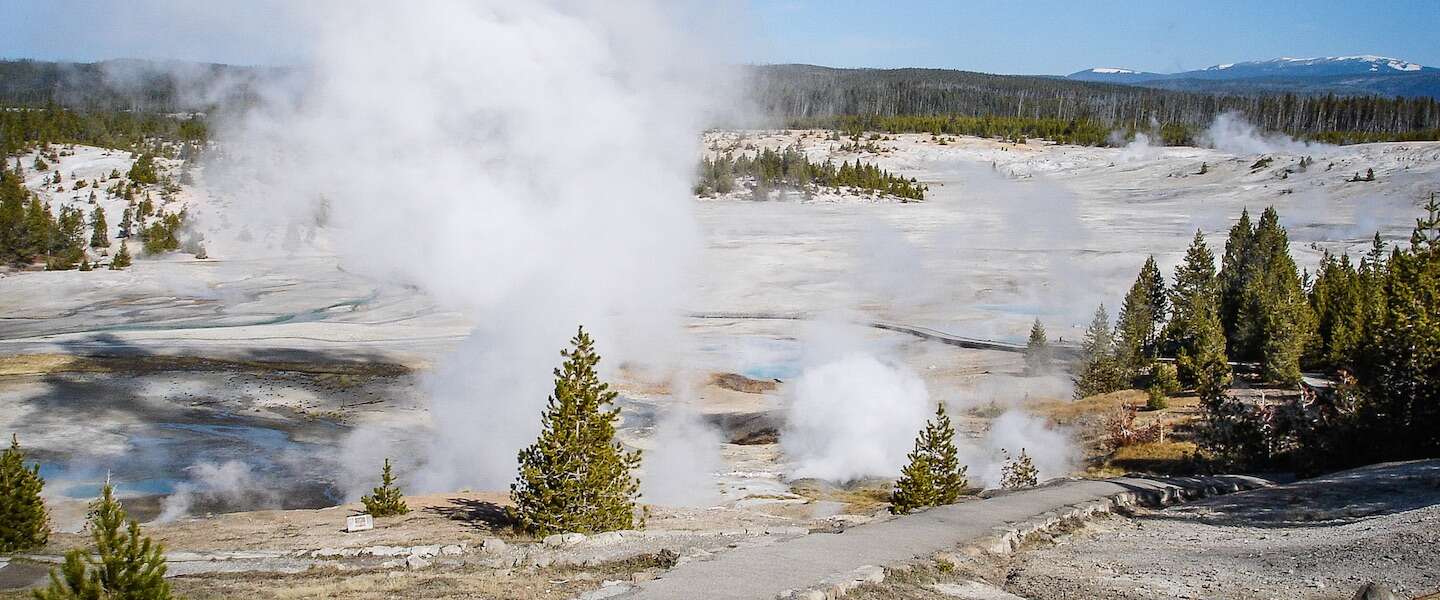 giantess-geiser-yellowstone.jpg