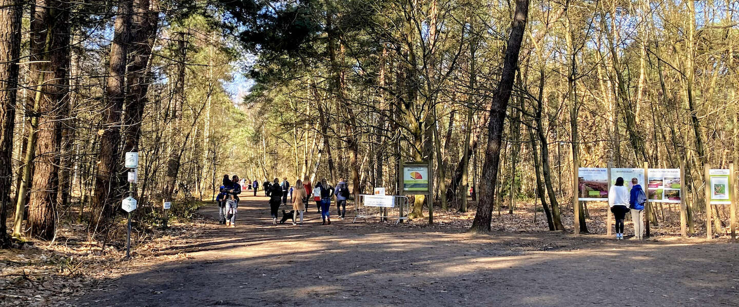 grenspark-kalmthoutse-heide.jpg