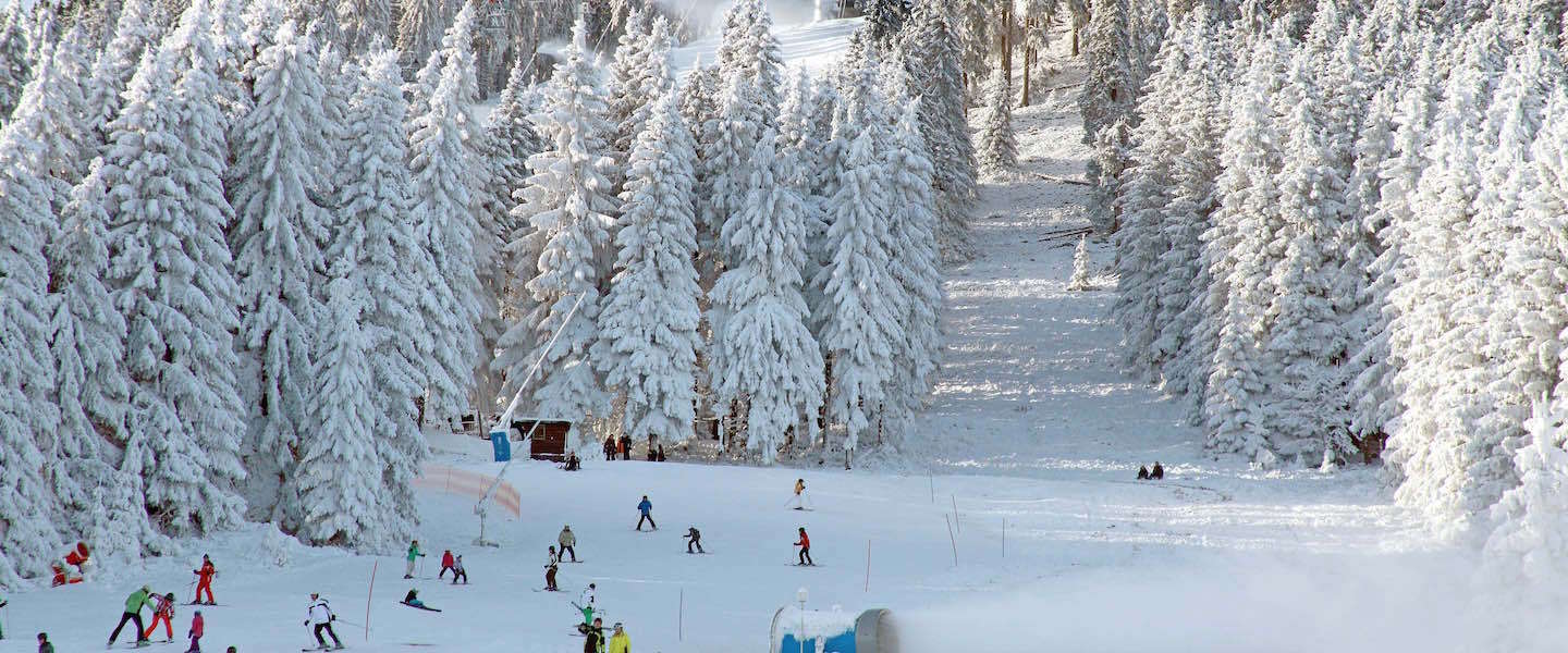 harz-duitsland-wintersport.jpg